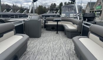 Armada Zen 188 2026