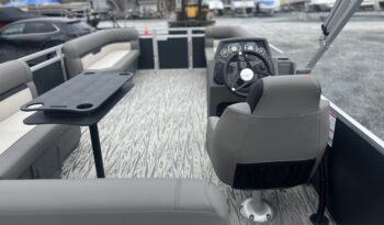 Armada Zen 188 2026